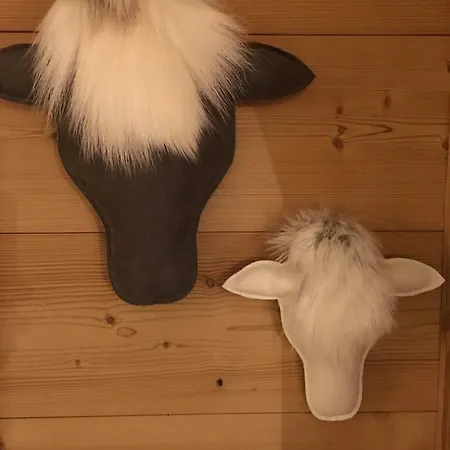 Apartment - Cosy Duplex Avec Vue Silveralp 337 Val Thorens